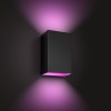Philips Hue WCA Resonate Outdoor Wall Lantern, Black | 8 W | 2000-6500 Hue White Colour Ambiance