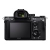 Sony Alpha 7 Mark III BODY | Sony