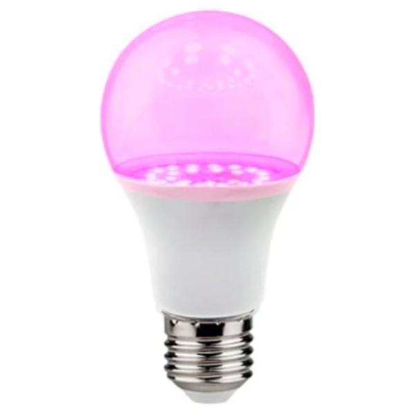 Light Bulb|VISIONAL|Power consumption 9 Watts|AC 220-240V|Beam ...
