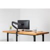 Digitus Universal Single Monitor Mount with Gas Spring and Clamp Mount