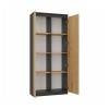 RS-80 HEMN OFFICE SHELVING UNIT, ANTHRACITE/ARTISAN OAK