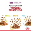 Karma Royal Canin Sensory Smell gravy 12x85g
