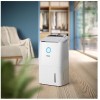 DEHUMIDIFIER & AIR PURIFIER/DE5305/11 PHILIPS