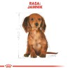 Food Royal Canin SHN Breed Dachshund Jun 1.5 kg