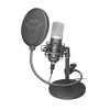 MICROPHONE GXT 252 EMITA/21753 TRUST