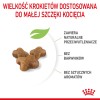 ROYAL CANIN Kitten - dry cat food - 2 kg