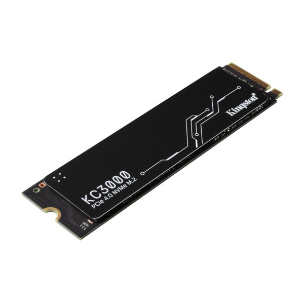 Kingston Technology KC3000 M.2 1024 GB ...