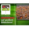 Wall Ceiling video Projector Screen 3D HD Cinema - 200x150 4: 3
