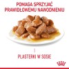 ROYAL CANIN Hairball Care Wet cat food Chunks in sauce 12x85 g