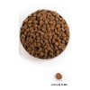 ORIJEN Regional Red - dry dog food - 6kg