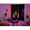 Philips Hue WCA Lightguide Triangle | E27 | 6.8 W | White and colour light