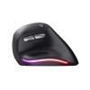 Trust Bayo Wireless Rechargeable Ergonomic Mouse