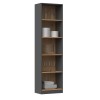 Topeshop R50 ANT/ART office bookcase