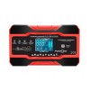 FreedConn RJ-C 121001A 12V, 10A /24V 5A battery charger