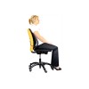 Fellowes | Office Suites mesh back support | Black | Depth 140 mm | Height 512 mm | Mesh textile | Width 439 mm