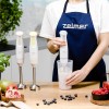 Zelmer ZHB4561S Pulsar Deluxe White Blender