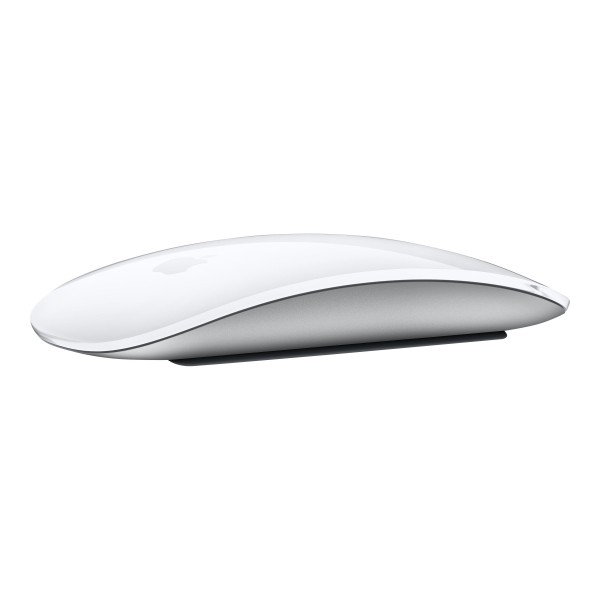 Apple Magic Mouse with Multi-Touch Surface ...