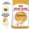 Royal Canin Sphynx dry cat food 2 kg