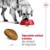 ROYAL CANIN Maxi Adult - dry dog food - 15 kg