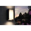 Philips Hue Turaco Outdoor Wall Lantern | E27 | 9 W | Warm white