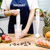 Zelmer ZHB4560I Pulsar White blender