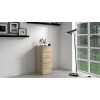 Topeshop W5 SONOMA chest of drawers