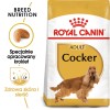 ROYAL CANIN Adult Cocker - dry dog food - 12 kg