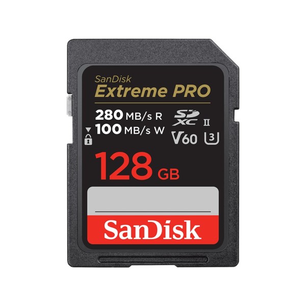 SanDisk SDSDXEP-128G-GN4IN memory card 128 GB ...