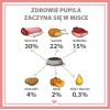 PUPIL PREMIUM Dziczyzna karma mokra dla psa 800g