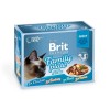 BRIT Premium Cat Pouch Gravy Fillet Family Plate - wet cat food - 12 x 85g