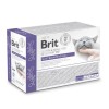Brit VD Cat Pouch fillets in Gravy Gastrointest 12x85g