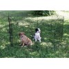 KERBL Run, large 8-piece modular playpen for dogs, cats, rabbits and rodents - 57x78 cm