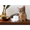 WRL CAMERA CAM 360/P36010US PETCUBE