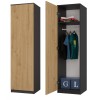 Topeshop SD-50 ANT/ART KPL bedroom wardrobe/closet 5 shelves 1 door(s)