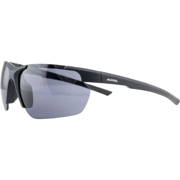 ALPINA DEFEY HR sunglasses, colour: BLACK ...