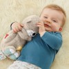 Fisher-Price Soothe 'N Snuggle Otter