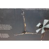 SALE OUT. Cecotec EnergySilence 510 Stand fan | Cecotec EnergySilence 510 | Stand Fan | DAMAGED PACKAGING | Diameter 40 cm | Number of speeds 3 | Oscillation | 40 W