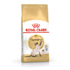 ROYAL CANIN Siamese Adult - dry cat food - 2 kg