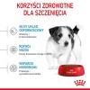 Royal Canin SHN Mini Puppy - dry puppy food - 4kg