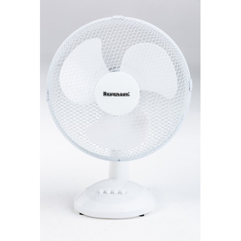 Fan Ravanson WT-1040 (grey)