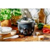 Camry Rice Cooker | CR 6419 | 400 W | 1 L | Number of programs 2 | Black