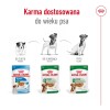 ROYAL CANIN Mini Adult - wet dog food - 12 x 85g