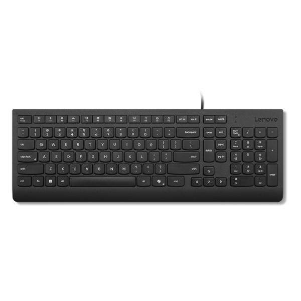 Lenovo Essential Wired Keyboard - US ...