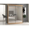 Topeshop IGA 160 ART A KPL bedroom wardrobe/closet 7 shelves 2 door(s) Oak