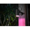 Philips Hue WCA Lily Outdoor Spot Light Extension 24V | 8 W | 2000-6500 Hue White Colour Ambiance