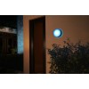 Philips Hue WCA Daylo Outdoor Wall Lantern, Black | 15 W | 2000-6500 Hue White Colour Ambiance