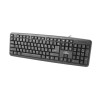 Esperanza TKR101 keyboard Office USB QWERTY English, Russian Black