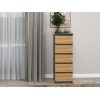 Topeshop W5 ANT/ART KPL chest of drawers