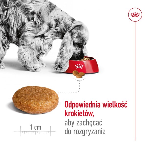 ROYAL CANIN Adult Medium - dry ...