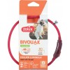 ZOLUX BIVOUAK LED Silicone red - collar for puppies and small dogs - 20-40 cm